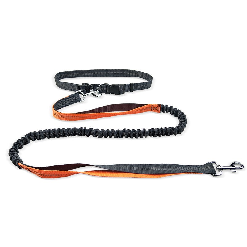 Hands-Free Dog Walking Belt – Shockproof Leash 130cm