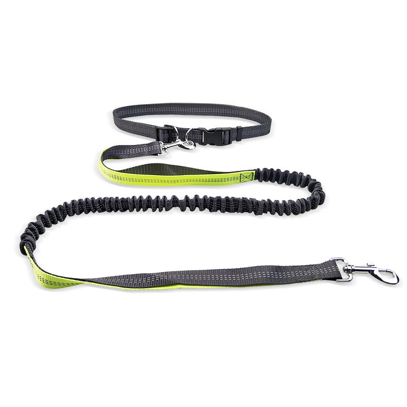 Hands-Free Dog Walking Belt – Shockproof Leash 130cm