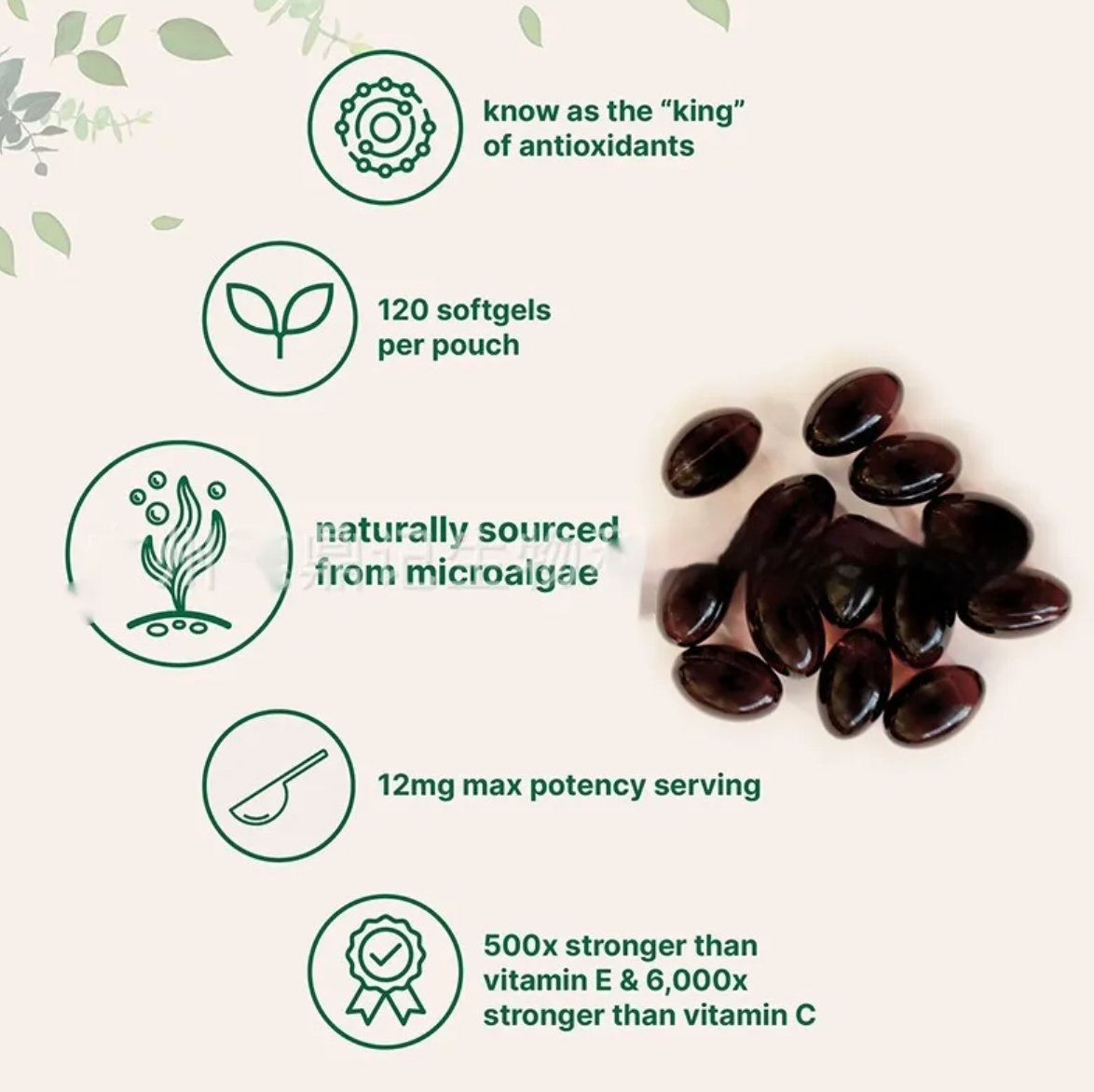 Astaxanthin Capsules – 120 Softgels Antioxidant Support