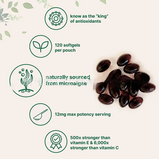 Astaxanthin Capsules – 120 Softgels Antioxidant Support