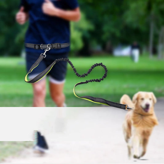 Hands-Free Dog Walking Belt – Shockproof Leash 130cm